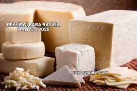 Peynirci Baba Bayilik Maliyeti 2025