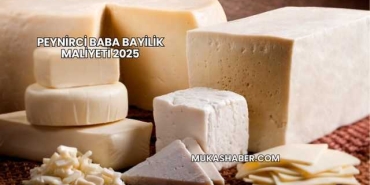 Peynirci Baba Bayilik Maliyeti 2025