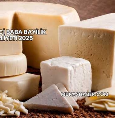 Peynirci Baba Bayilik Maliyeti 2025