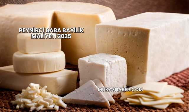 Peynirci Baba Bayilik Maliyeti 2025