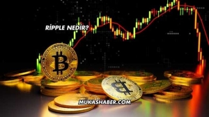 Ripple Nedir?