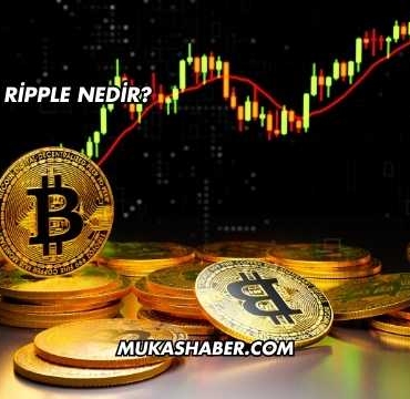 Ripple Nedir?