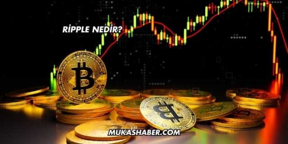 Ripple Nedir?