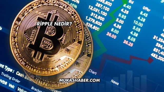 Ripple Nedir?