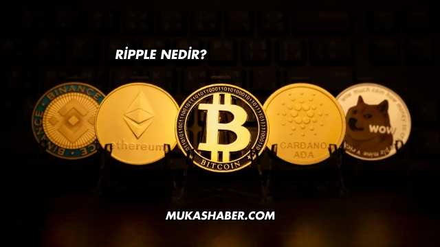 Ripple Nedir?