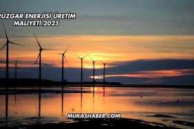 Rüzgar Enerjisi Üretim Maliyeti 2025