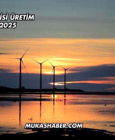 Rüzgar Enerjisi Üretim Maliyeti 2025