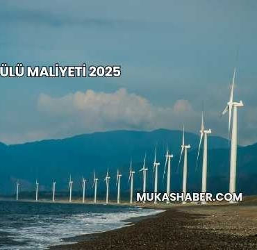 Rüzgar Gülü Maliyeti 2025
