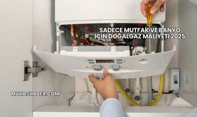 Sadece Mutfak ve Banyo İçin Doğalgaz Maliyeti 2025