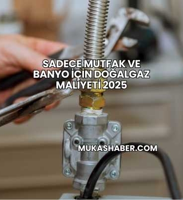 Sadece Mutfak ve Banyo İçin Doğalgaz Maliyeti 2025