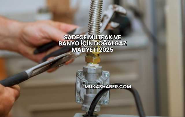 Sadece Mutfak ve Banyo İçin Doğalgaz Maliyeti 2025