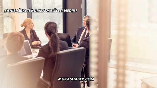 Şahıs Şirketi Kurma Maliyeti Nedir?