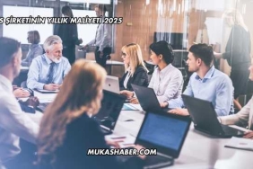 Limited Şirket Nasıl Kurulur?