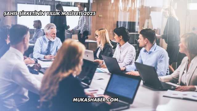Limited Şirket Nasıl Kurulur?