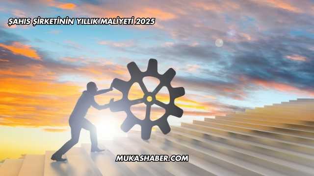 Şahıs Şirketinin Yıllık Maliyeti 2025