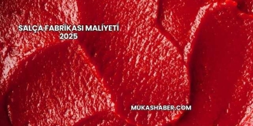 Salça Fabrikası Maliyeti 2025