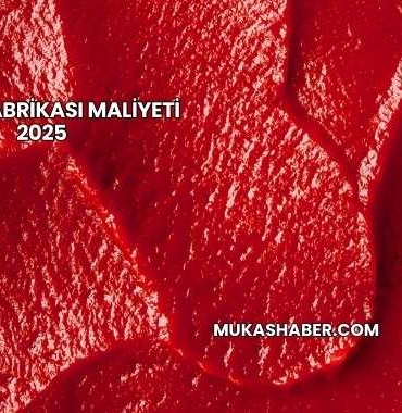 Salça Fabrikası Maliyeti 2025