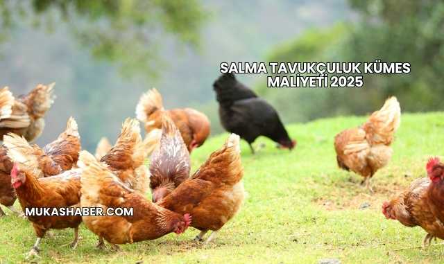 Salma Tavukçuluk Kümes Maliyeti 2025