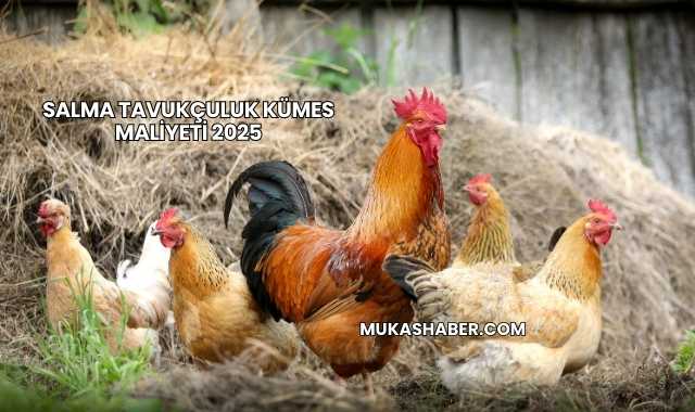 Salma Tavukçuluk Kümes Maliyeti 2025
