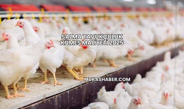 Salma Tavukçuluk Kümes Maliyeti 2025