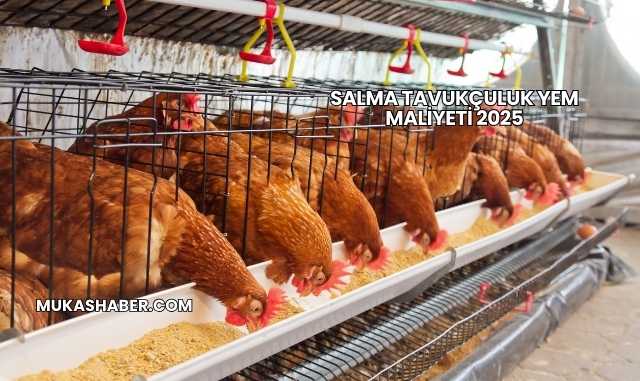 Salma Tavukçuluk Yem Maliyeti 2025