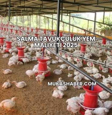 Salma Tavukçuluk Yem Maliyeti 2025