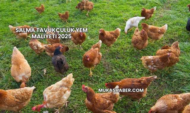 Salma Tavukçuluk Yem Maliyeti 2025