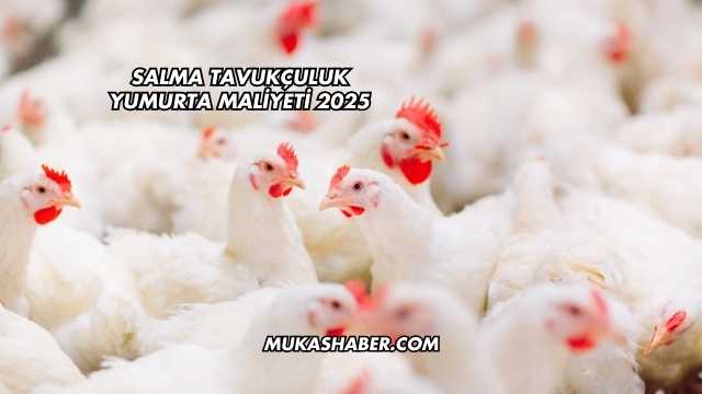 Salma Tavukçuluk Yumurta Maliyeti 2025