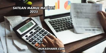 Satılan Mamul Maliyeti 2025