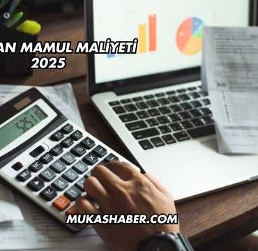 Satılan Mamul Maliyeti 2025