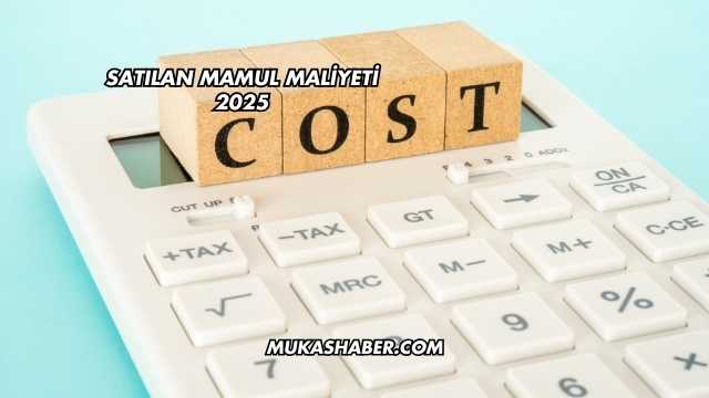 Satılan Mamul Maliyeti 2025