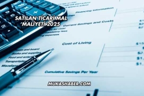 Satılan Ticari Mal Maliyeti 2025