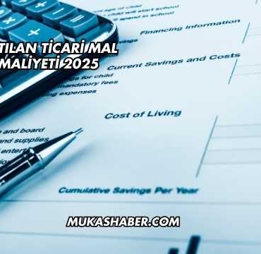 Satılan Ticari Mal Maliyeti 2025