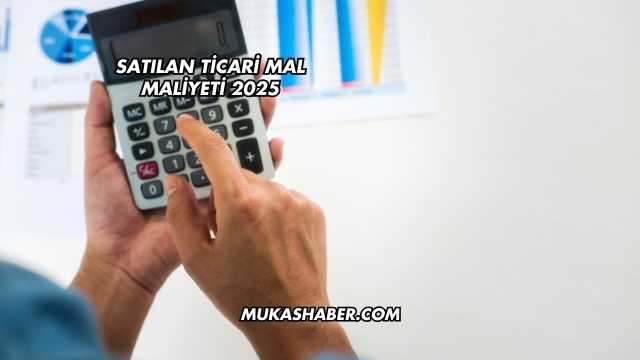 Satılan Ticari Mal Maliyeti 2025