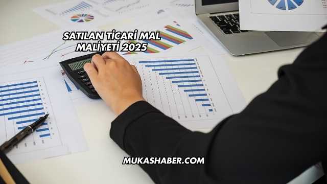 Satılan Ticari Mal Maliyeti 2025