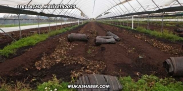 Sera Açma Maliyeti 2025