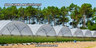 Sera Kurma Maliyeti 2025