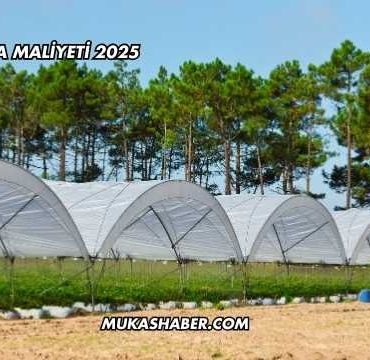 Sera Kurma Maliyeti 2025