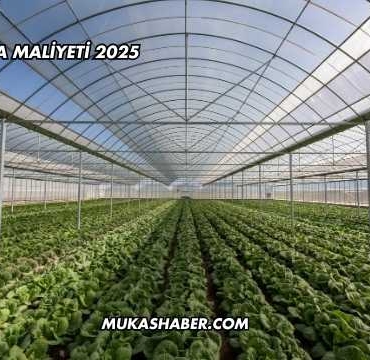 Sera Kurma Maliyeti 2025