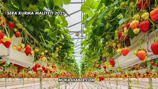 Sera Kurma Maliyeti 2025