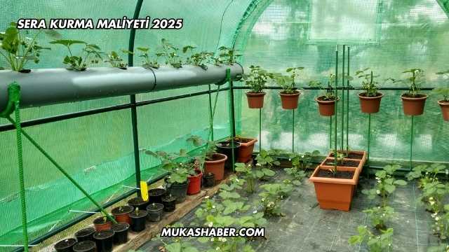 Sera Kurma Maliyeti 2025
