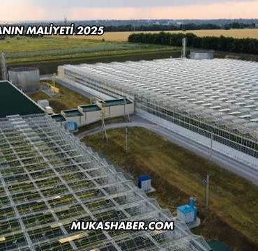 Sera Kurmanın Maliyeti 2025