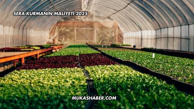 Sera Kurmanın Maliyeti 2025