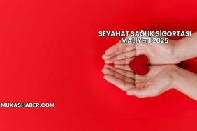 Seyahat Sağlık Sigortası Maliyeti 2025