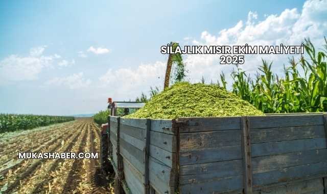 Silajlık Mısır Ekim Maliyeti 2025