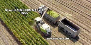 Silajlık Mısır Ekim Maliyeti 2025