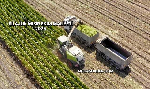 Silajlık Mısır Ekim Maliyeti 2025