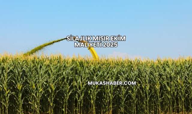 Silajlık Mısır Ekim Maliyeti 2025