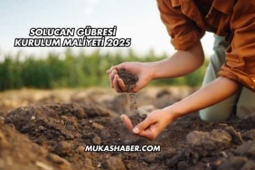 Solucan Gübresi Kurulum Maliyeti 2025