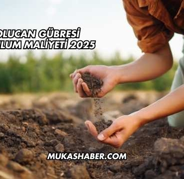 Solucan Gübresi Kurulum Maliyeti 2025